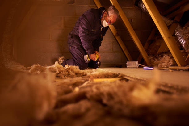Best Insulation Repair Services  in Bellefonte, DE
